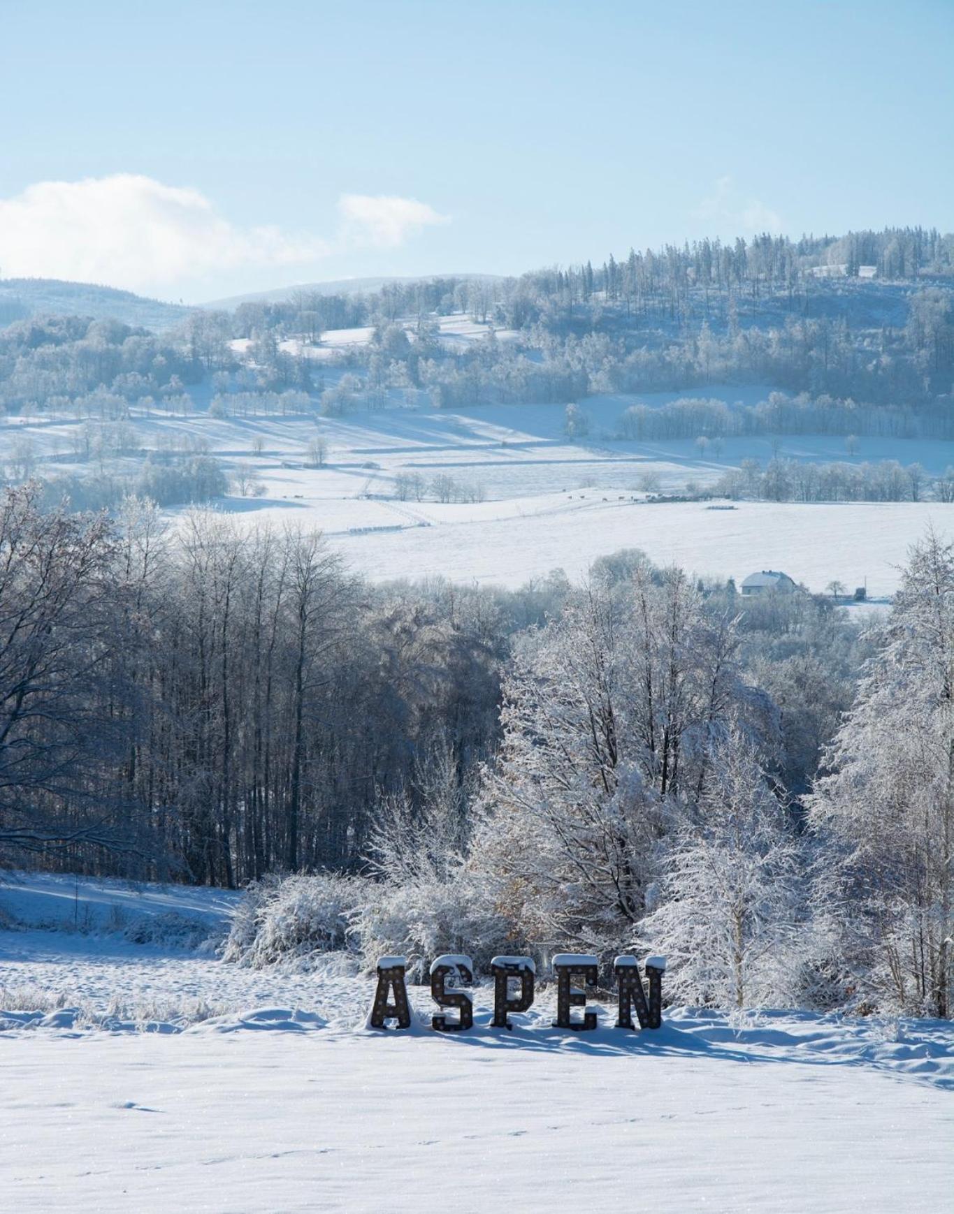 Aspen Prime Ski & Bike Resort - Basen, Sauna, Jacuzzi, Silownia W Cenie Pobytu Глухолазы Экстерьер фото